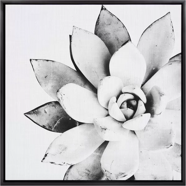 Kate and Laurel Sylvie Modern Succulent Framed Canvas Wall Art by Simon Te of Tai Prints 18x24 Natural BlackandWhite Succulent Art for WallBlack