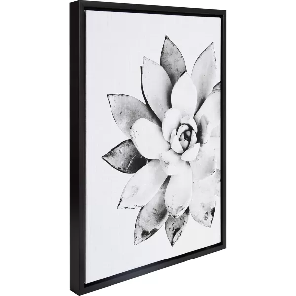 Kate and Laurel Sylvie Modern Succulent Framed Canvas Wall Art by Simon Te of Tai Prints 18x24 Natural BlackandWhite Succulent Art for WallBlack