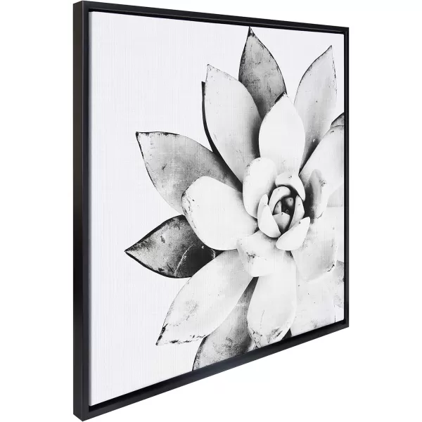 Kate and Laurel Sylvie Modern Succulent Framed Canvas Wall Art by Simon Te of Tai Prints 18x24 Natural BlackandWhite Succulent Art for WallBlack