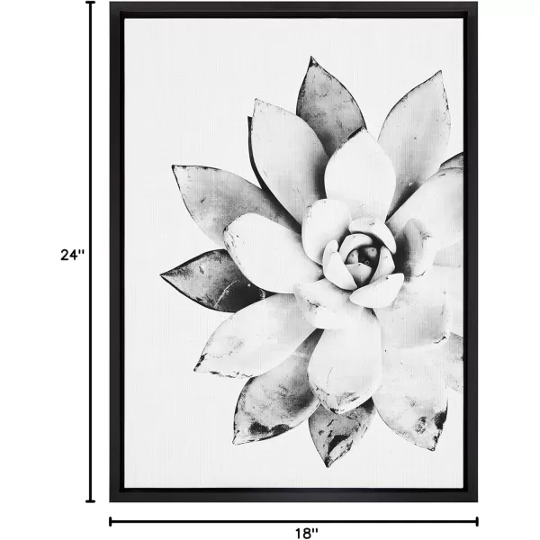 Kate and Laurel Sylvie Modern Succulent Framed Canvas Wall Art by Simon Te of Tai Prints 18x24 Natural BlackandWhite Succulent Art for WallBlack