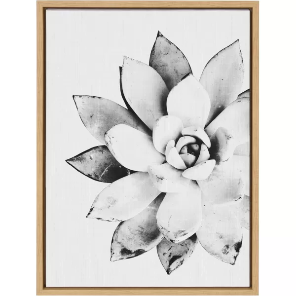 Kate and Laurel Sylvie Modern Succulent Framed Canvas Wall Art by Simon Te of Tai Prints 18x24 Natural BlackandWhite Succulent Art for WallNatural