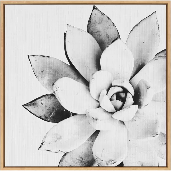 Kate and Laurel Sylvie Modern Succulent Framed Canvas Wall Art by Simon Te of Tai Prints 18x24 Natural BlackandWhite Succulent Art for WallNatural