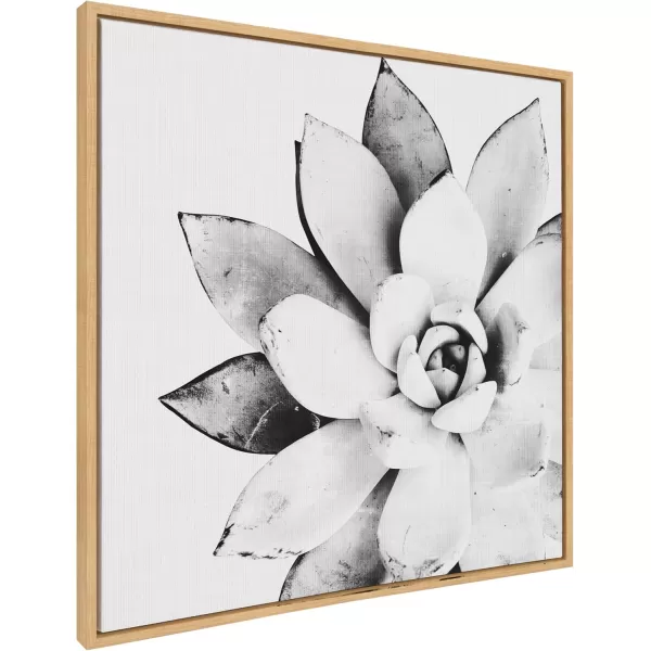 Kate and Laurel Sylvie Modern Succulent Framed Canvas Wall Art by Simon Te of Tai Prints 18x24 Natural BlackandWhite Succulent Art for WallNatural