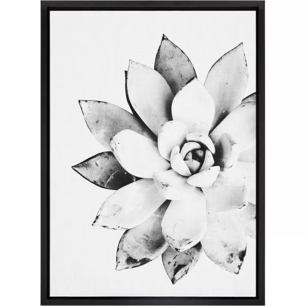 Kate and Laurel Sylvie Modern Succulent Framed Canvas Wall Art by Simon Te of Tai Prints 18x24 Natural BlackandWhite Succulent Art for WallBlack