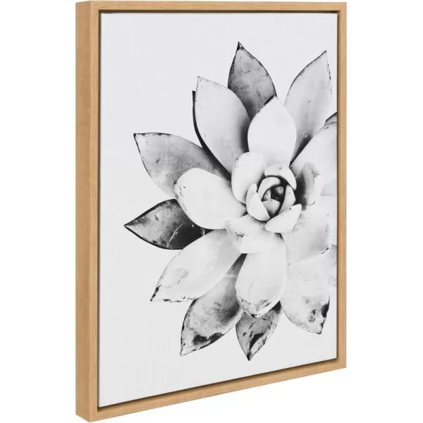 Kate and Laurel Sylvie Modern Succulent Framed Canvas Wall Art by Simon Te of Tai Prints 18x24 Natural BlackandWhite Succulent Art for WallNatural