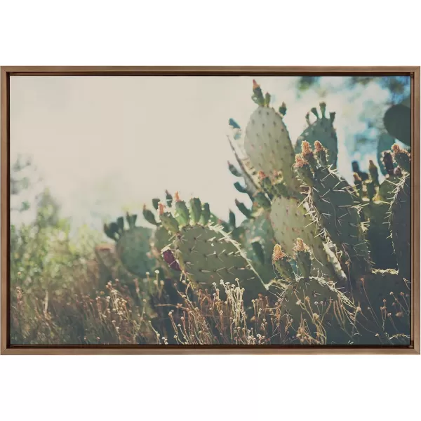 Kate and Laurel Sylvie A Desert Prickly Pear Framed Canvas Wall Art by Laura Evans 23x33 Natural Beautiful Southwest Wall DecorGold