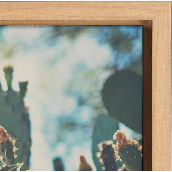 Kate and Laurel Sylvie A Desert Prickly Pear Framed Canvas Wall Art by Laura Evans 23x33 Natural Beautiful Southwest Wall DecorNatural
