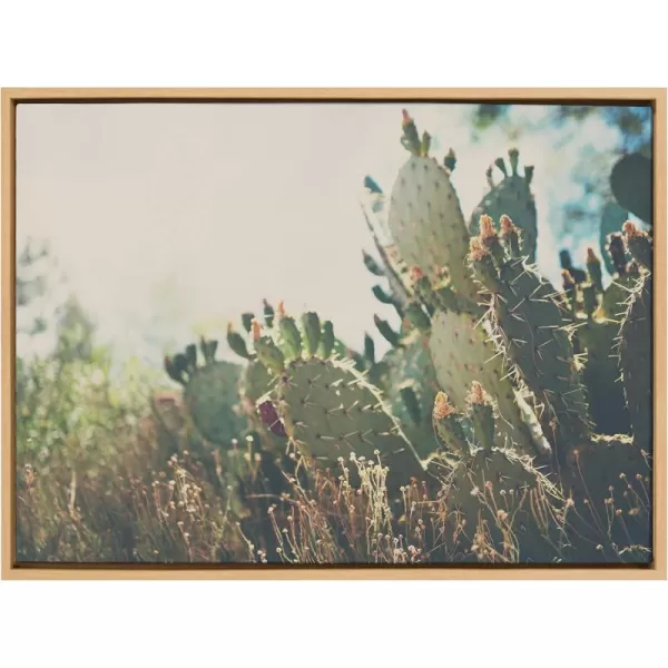 Kate and Laurel Sylvie A Desert Prickly Pear Framed Canvas Wall Art by Laura Evans 23x33 Natural Beautiful Southwest Wall DecorNatural