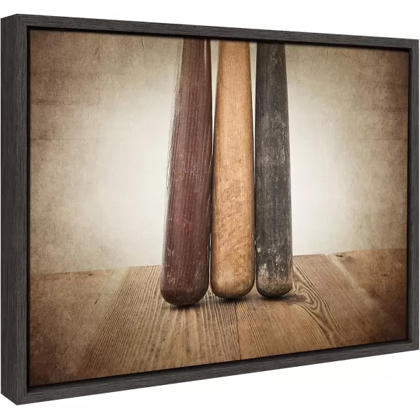 DesignOvation Sylvie Three Vintage Bats Framed Canvas by Shawn St Peter 18x24 Gray