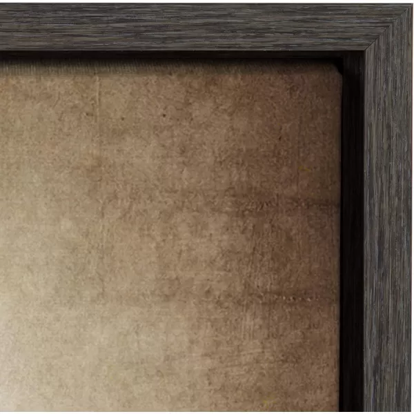 DesignOvation Sylvie Three Vintage Bats Framed Canvas by Shawn St Peter 18x24 Gray