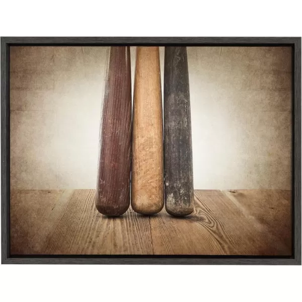 DesignOvation Sylvie Three Vintage Bats Framed Canvas by Shawn St Peter 18x24 Gray
