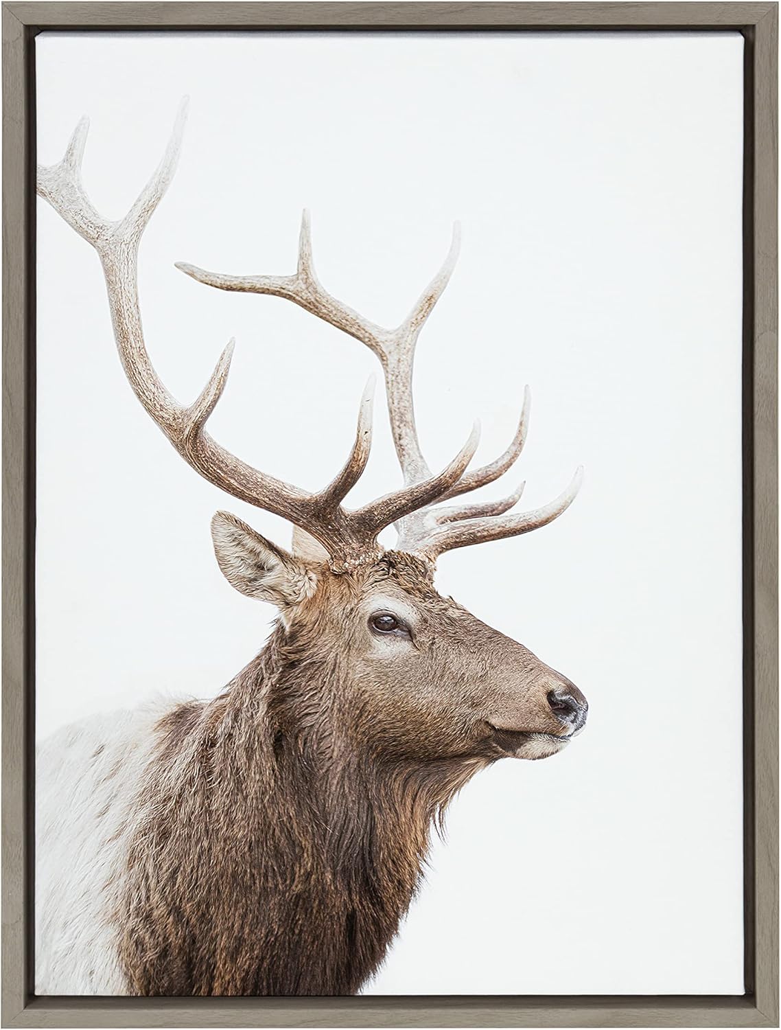 Kate and Laurel Sylvie Stag Profile Framed Canvas Wall Art by Amy Peterson Art Studio 23x33 Natural Modern Forest Animal Portrait Art for WallGray