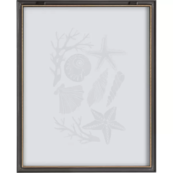 Kate and Laurel Blake Seashells Black Framed Printed Glass Wall Art by Cat Coquillette 16x20 Gray Decorative Coastal Art for Wall