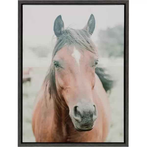 Kate and Laurel Sylvie AA Wander Framed Canvas Wall Art by Alicia Abla 18x24 Gray Modern Animal Horse Portrait Art