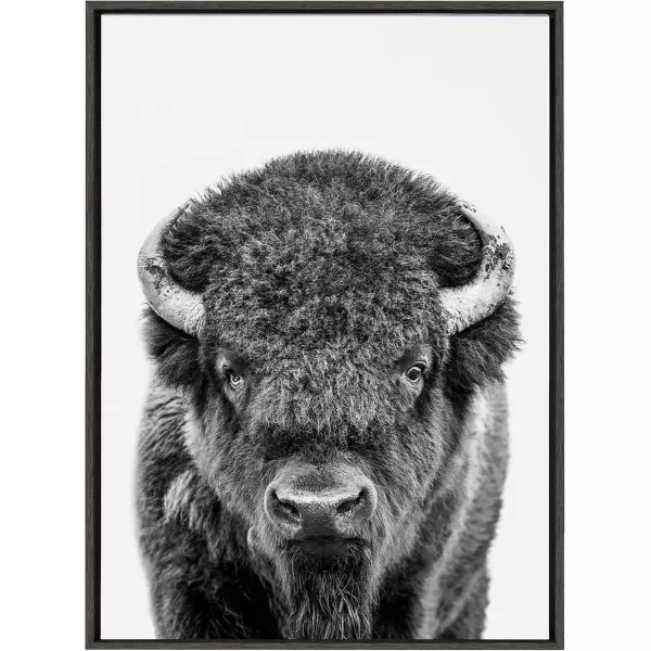 Kate and Laurel Sylvie Bison Portrait Black and White Framed Canvas Wall Art by Amy Peterson Art Studio 23x33 Gray Modern Animal Portrait Art for WallGray