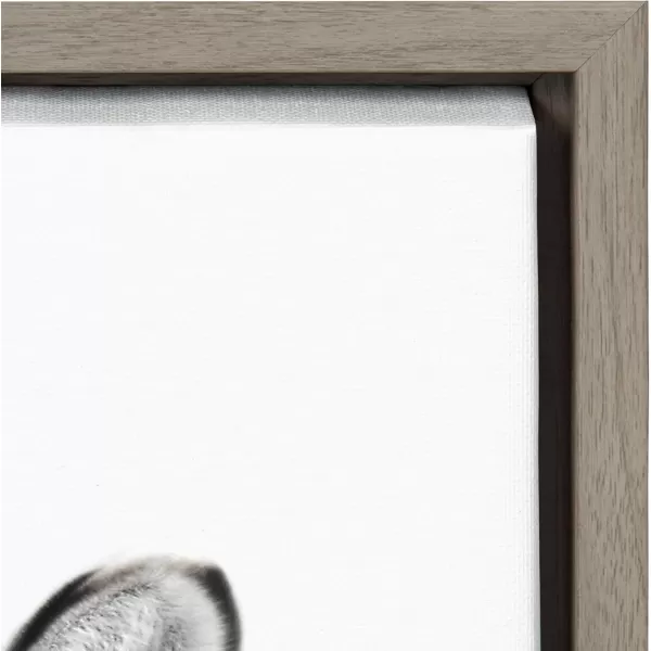 Kate and Laurel Sylvie Bubble Gum Zebra Framed Canvas Wall Art by Amy Peterson Art Studio 18x24 GrayGray