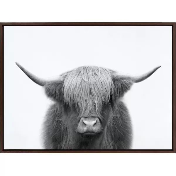 Kate and Laurel Sylvie Hey Dude Highland Cow BW Framed Canvas Wall Art by The Creative Bunch Studio 28x38 Black Decorative Farmhouse Animal Art for WallBrown