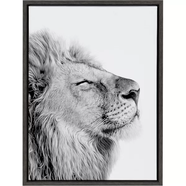 Kate and Laurel Sylvie Lion Self Actualizing Framed Canvas Wall Art by Amy Peterson Art Studio 18 x 24 Gray Adorable Animal Home DcorGray