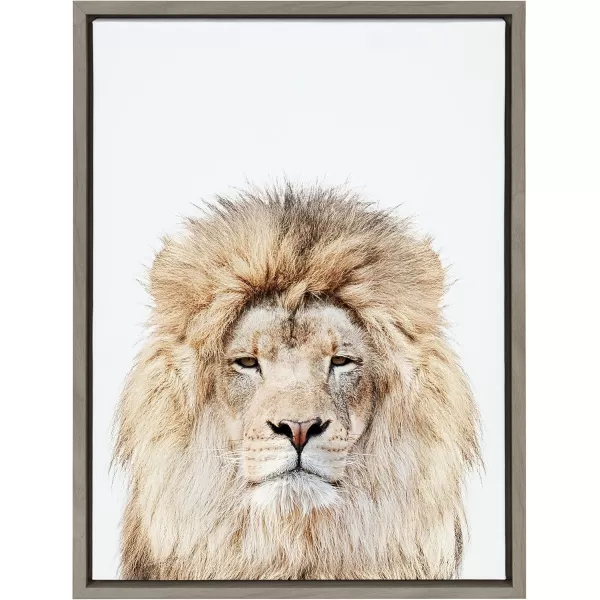 Kate and Laurel Sylvie Lion Stare Portrait Framed Canvas Wall Art by Amy Peterson Art Studio 18x24 Natural Modern Jungle Animal Portrait Art for WallGray