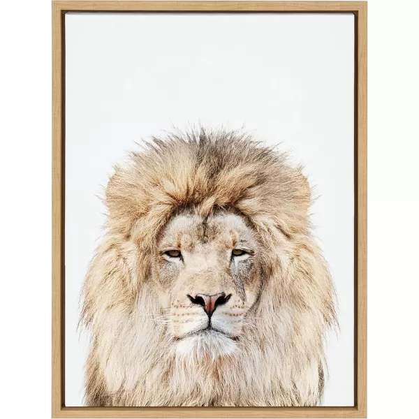 Kate and Laurel Sylvie Lion Stare Portrait Framed Canvas Wall Art by Amy Peterson Art Studio 18x24 Natural Modern Jungle Animal Portrait Art for WallNatural