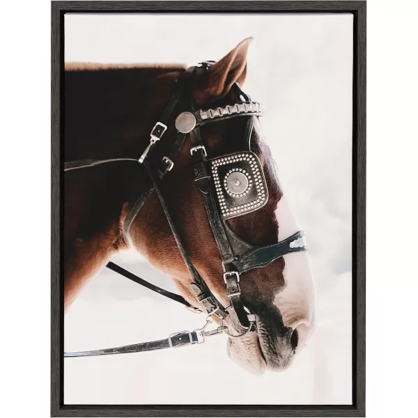 Kate and Laurel Sylvie Prevail Framed Canvas Wall Art by Alicia Abla 18x24 Gray Dramatic Horse Animal Portrait Art for Wall