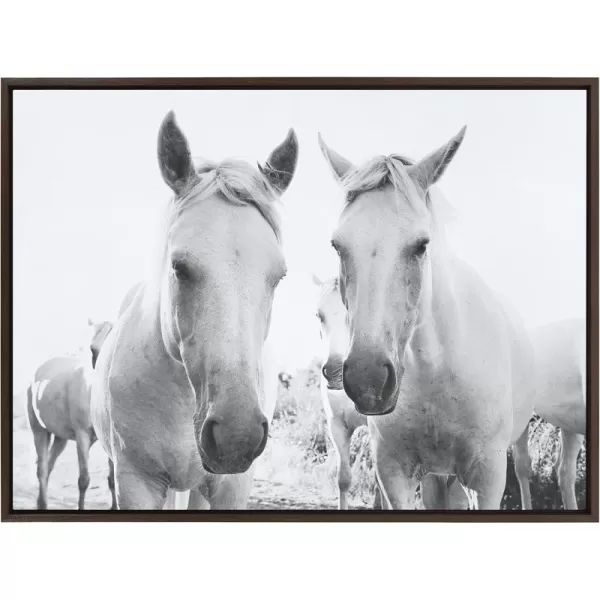 Kate and Laurel Sylvie Camargue Horse XVII BW Framed Canvas Wall Art by Laura Evans 28x38 Natural Decorative Animal Art for WallBrown