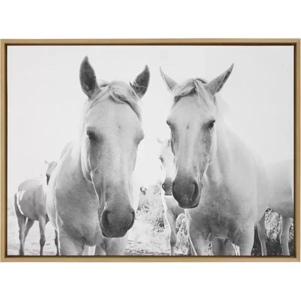 Kate and Laurel Sylvie Camargue Horse XVII BW Framed Canvas Wall Art by Laura Evans 28x38 Natural Decorative Animal Art for WallNatural