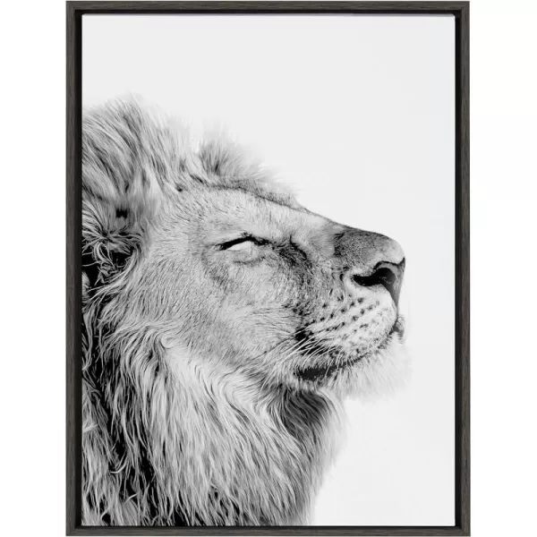 Kate and Laurel Sylvie Lion Self Actualizing Framed Canvas Wall Art by Amy Peterson Art Studio 18 x 24 Gray Adorable Animal Home DcorGrey