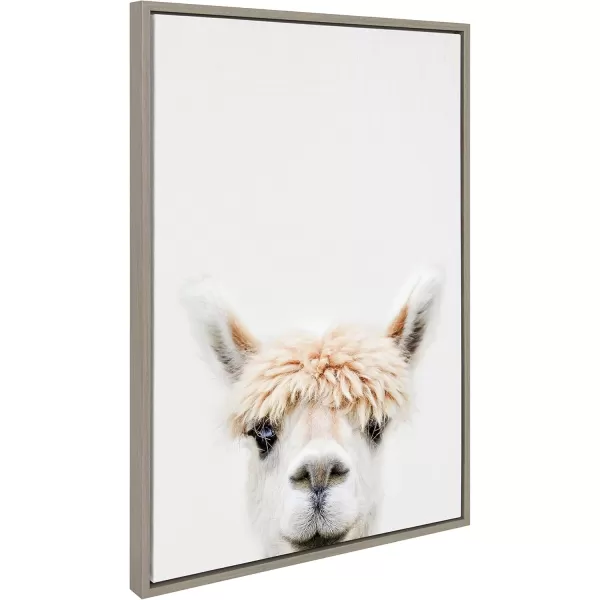 Kate and Laurel Sylvie Alpaca Bangs Framed Canvas Wall Art by Amy Peterson Art Studio 18x24 Natural Decorative Adorable Animal Art for WallGray