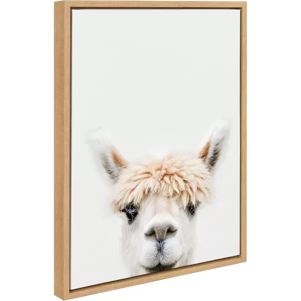 Kate and Laurel Sylvie Alpaca Bangs Framed Canvas Wall Art by Amy Peterson Art Studio 18x24 Natural Decorative Adorable Animal Art for WallNatural