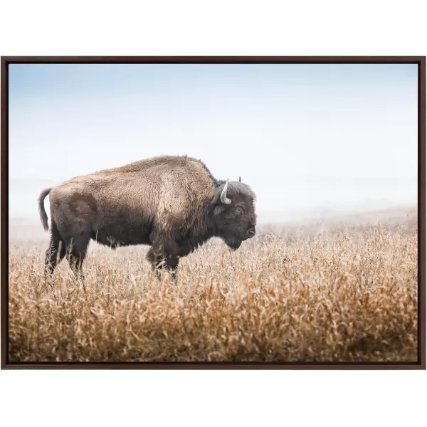 Kate and Laurel Sylvie American Bison Buffalo in Prairie Grass Framed Canvas Wall Art 23x33 Brown Prairie Animal Wall Art DecorBrown