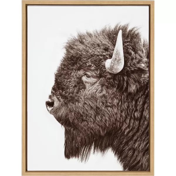 Kate and Laurel Sylvie Bison Profile Framed Canvas Wall Art by Amy Peterson Art Studio 18x24 Natural Modern Animal Portrait Art for WallNatural