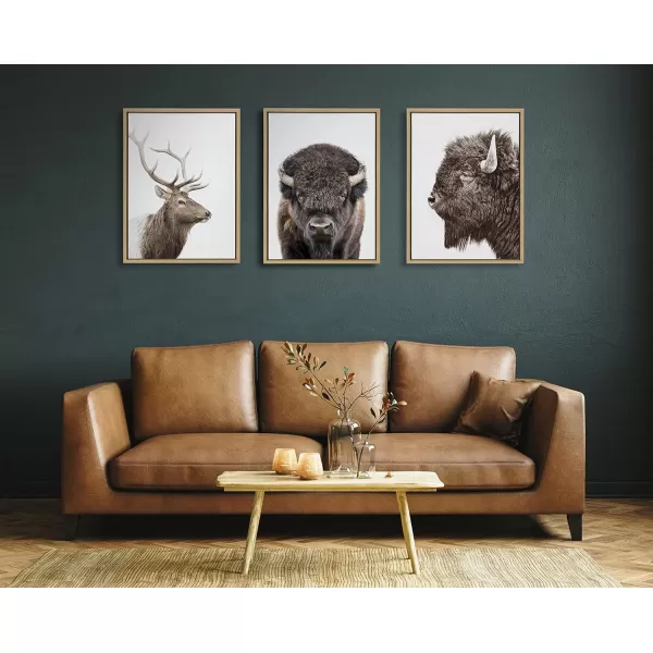 Kate and Laurel Sylvie Bison Profile Framed Canvas Wall Art by Amy Peterson Art Studio 18x24 Natural Modern Animal Portrait Art for WallNatural