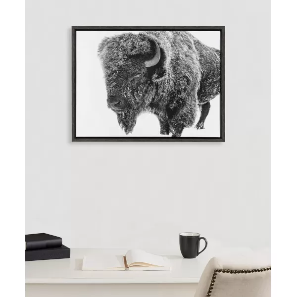 Kate and Laurel Sylvie Bison in Snow Black and White Framed Canvas Wall Art by Amy Peterson Art Studio 18x24 Gray Modern Animal Portrait Art for WallGray