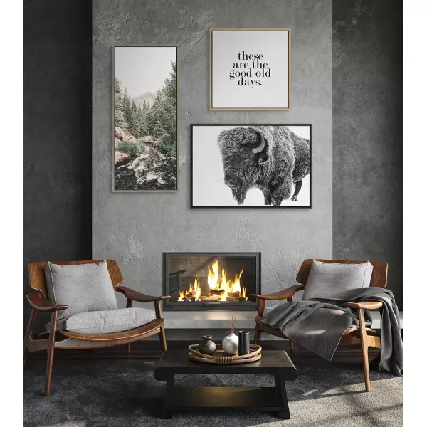 Kate and Laurel Sylvie Bison in Snow Black and White Framed Canvas Wall Art by Amy Peterson Art Studio 18x24 Gray Modern Animal Portrait Art for WallGray