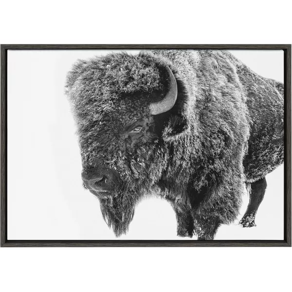 Kate and Laurel Sylvie Bison in Snow Black and White Framed Canvas Wall Art by Amy Peterson Art Studio 18x24 Gray Modern Animal Portrait Art for WallGray