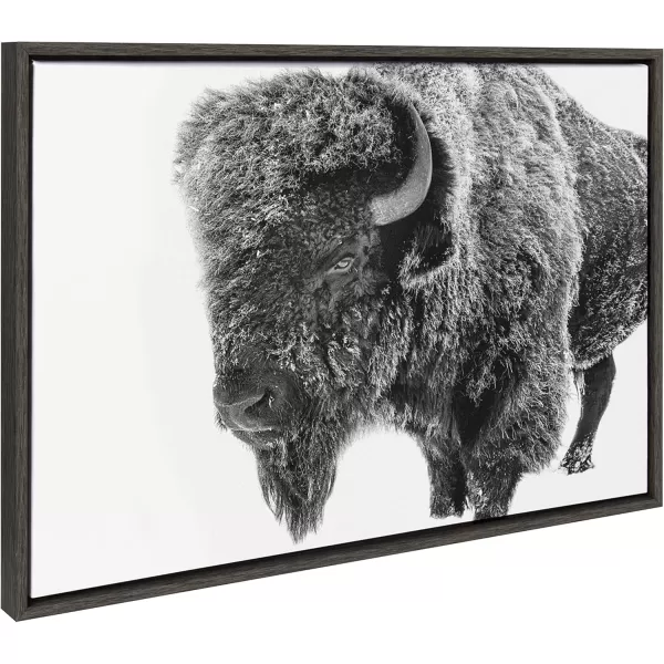 Kate and Laurel Sylvie Bison in Snow Black and White Framed Canvas Wall Art by Amy Peterson Art Studio 18x24 Gray Modern Animal Portrait Art for WallGray