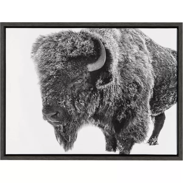 Kate and Laurel Sylvie Bison in Snow Black and White Framed Canvas Wall Art by Amy Peterson Art Studio 18x24 Gray Modern Animal Portrait Art for WallGray