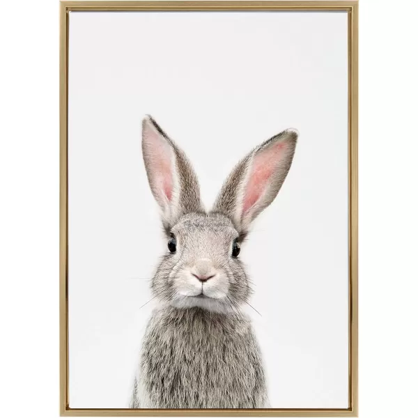 Kate and Laurel Sylvie Female Rabbit Framed Canvas Wall Art by Amy Peterson 18x24 Gold Baby Animal Home DecorGold