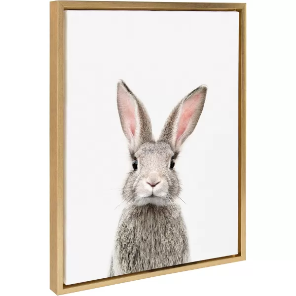 Kate and Laurel Sylvie Female Rabbit Framed Canvas Wall Art by Amy Peterson 18x24 Gold Baby Animal Home DecorGold
