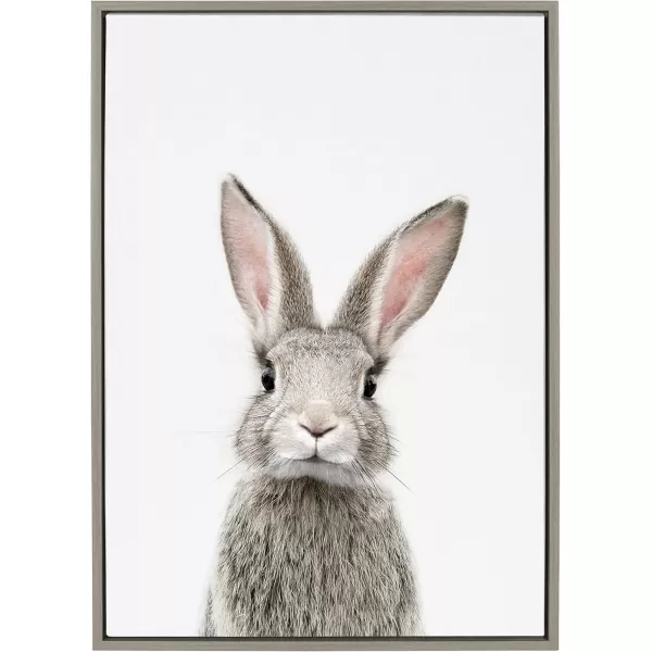 Kate and Laurel Sylvie Female Rabbit Framed Canvas Wall Art by Amy Peterson 18x24 Gold Baby Animal Home DecorGrey