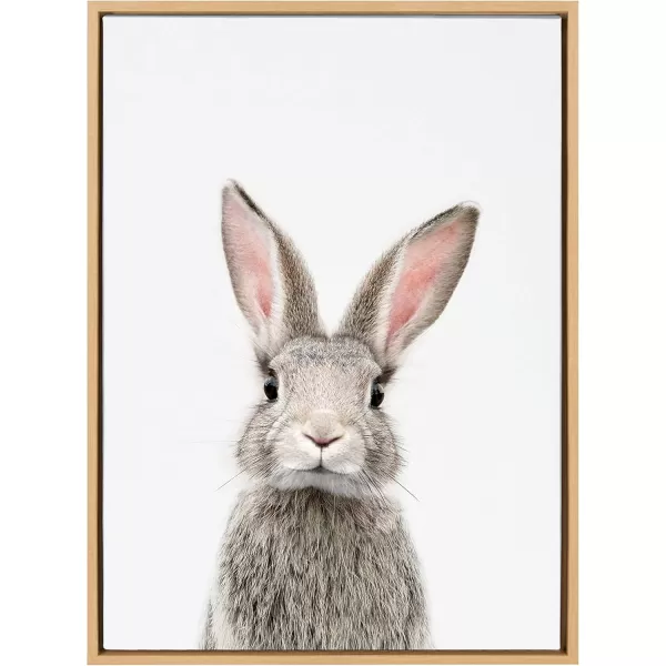 Kate and Laurel Sylvie Female Rabbit Framed Canvas Wall Art by Amy Peterson 18x24 Gold Baby Animal Home DecorNatural