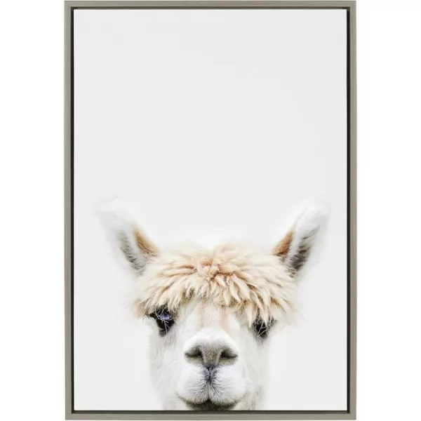 Kate and Laurel Sylvie Alpaca Bangs Framed Canvas Wall Art by Amy Peterson Art Studio 18x24 Natural Decorative Adorable Animal Art for WallGray