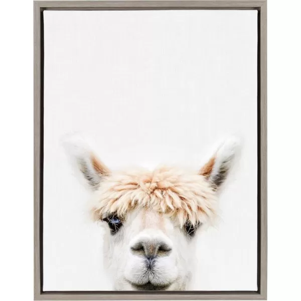 Kate and Laurel Sylvie Alpaca Bangs Framed Canvas Wall Art by Amy Peterson Art Studio 18x24 Natural Decorative Adorable Animal Art for WallGrey