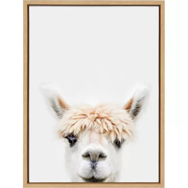 Kate and Laurel Sylvie Alpaca Bangs Framed Canvas Wall Art by Amy Peterson Art Studio 18x24 Natural Decorative Adorable Animal Art for WallNatural