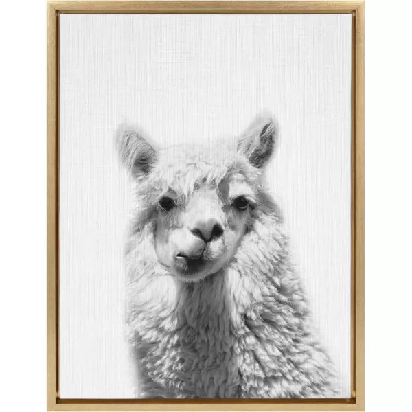 Kate and Laurel Sylvie Alpaca Black and White Portrait Framed Canvas Wall Art by Simon Te Tai 18x24 BlackGold