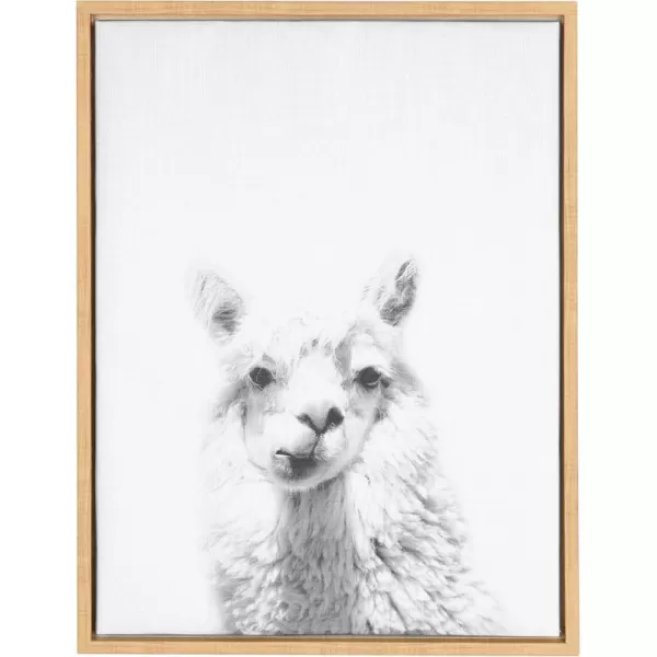 Kate and Laurel Sylvie Alpaca Black and White Portrait Framed Canvas Wall Art by Simon Te Tai 18x24 BlackNatural