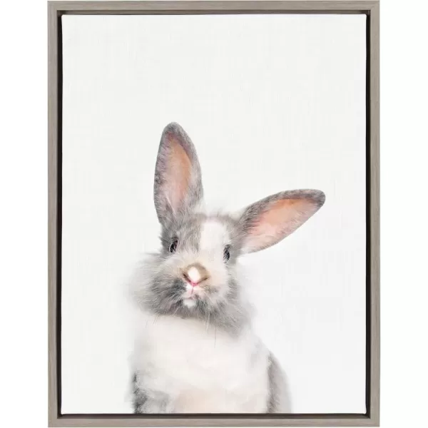 Kate and Laurel Sylvie Baby Bunny Rabbit Animal Print Portrait Framed Canvas Wall Art by Amy Peterson 18x24 GrayGray