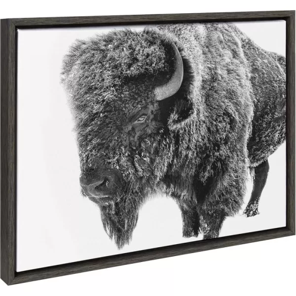 Kate and Laurel Sylvie Bison in Snow Black and White Framed Canvas Wall Art by Amy Peterson Art Studio 18x24 Gray Modern Animal Portrait Art for WallGray