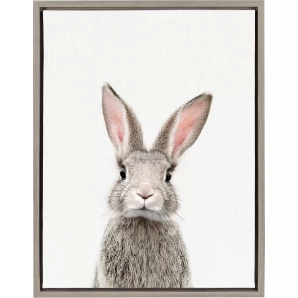 Kate and Laurel Sylvie Female Rabbit Framed Canvas Wall Art by Amy Peterson 18x24 Gold Baby Animal Home DecorGrey